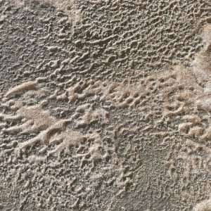 Tríptico II/2017, sand on panel, 40,5x40,5